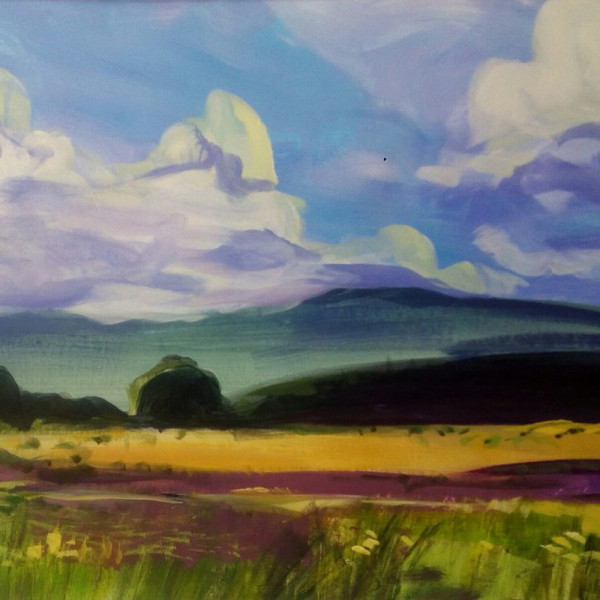 поле цветов - пленэр арский камень